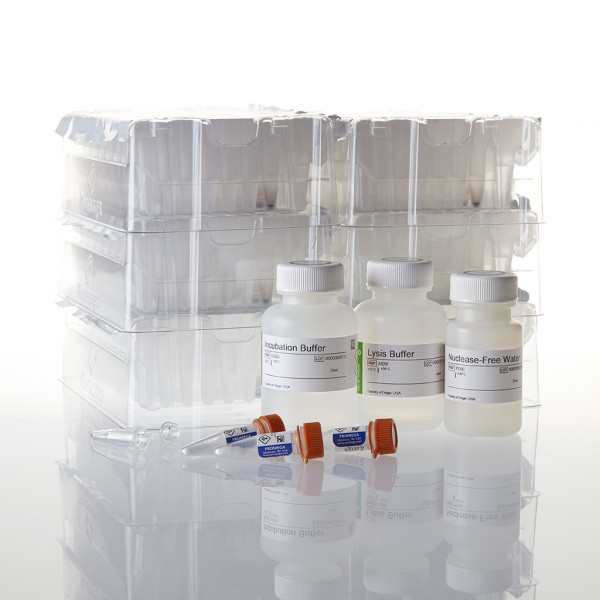 Maxwell® RSC FFPE Plus DNA Kit